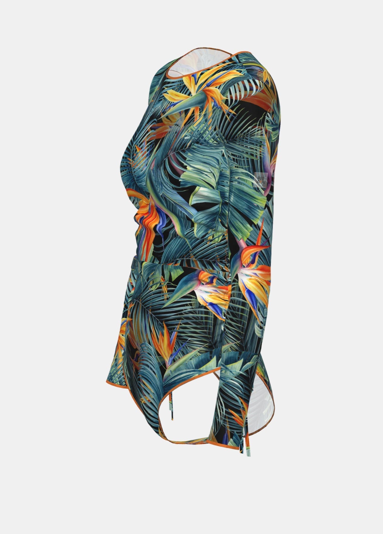 Montenegro in Bird of paradise